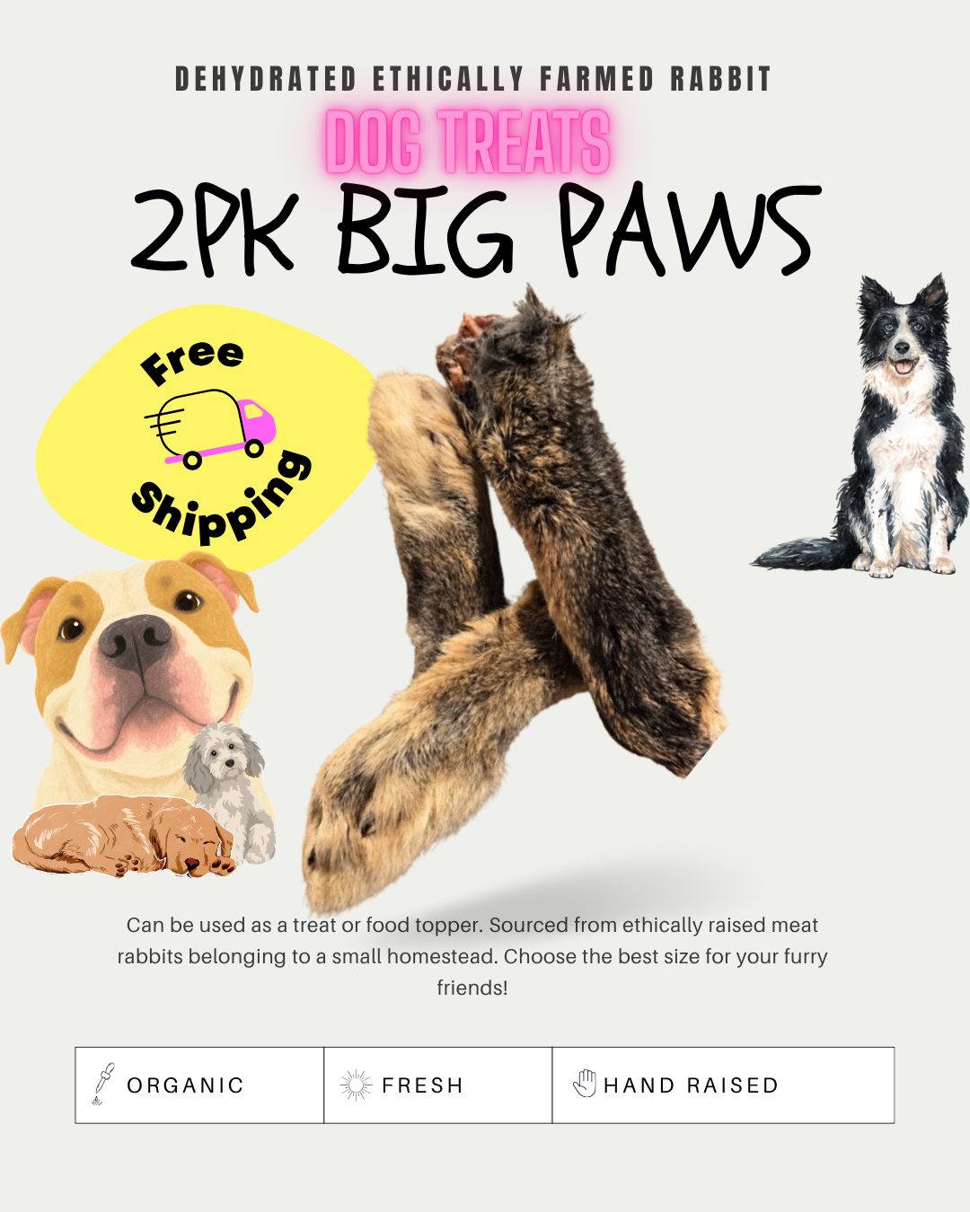 2pk Big Paws - Dog Treats