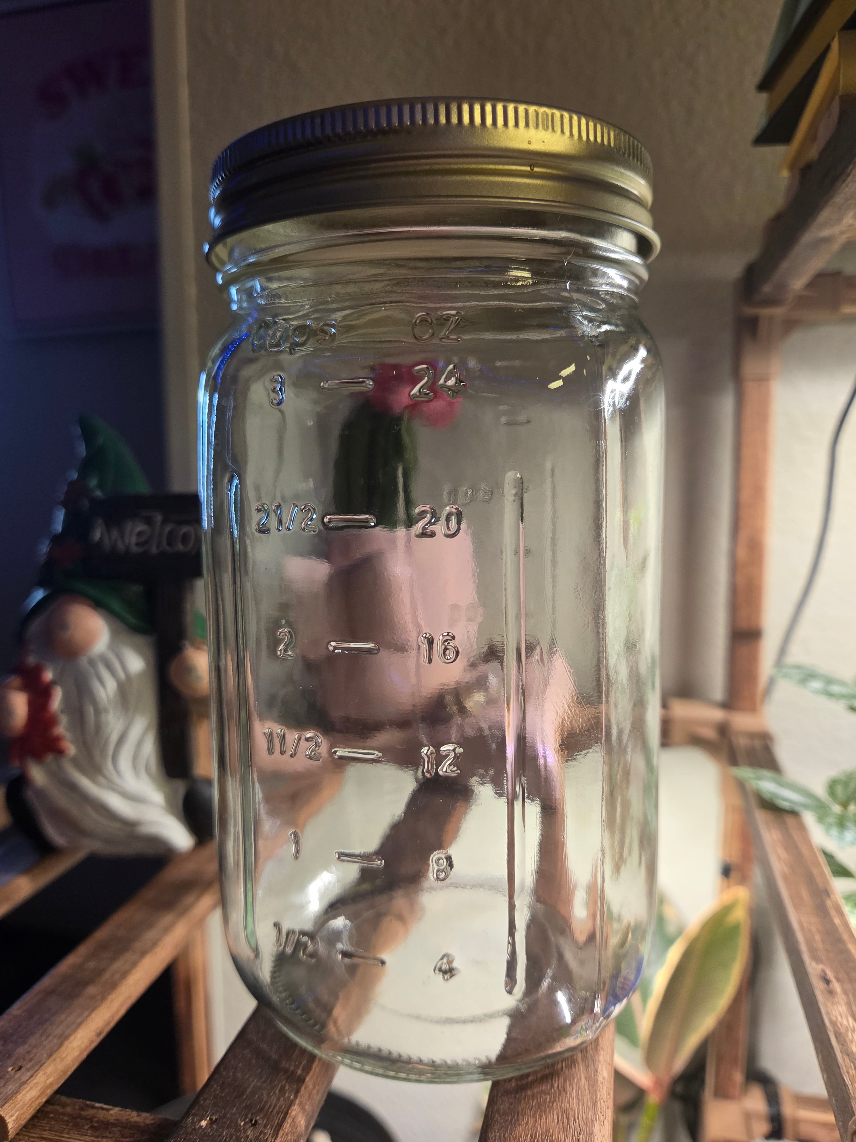 Wet Specimen 1-Quart Canning Jar